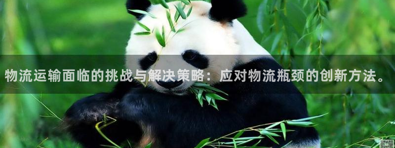 娱乐门徒棉花糖